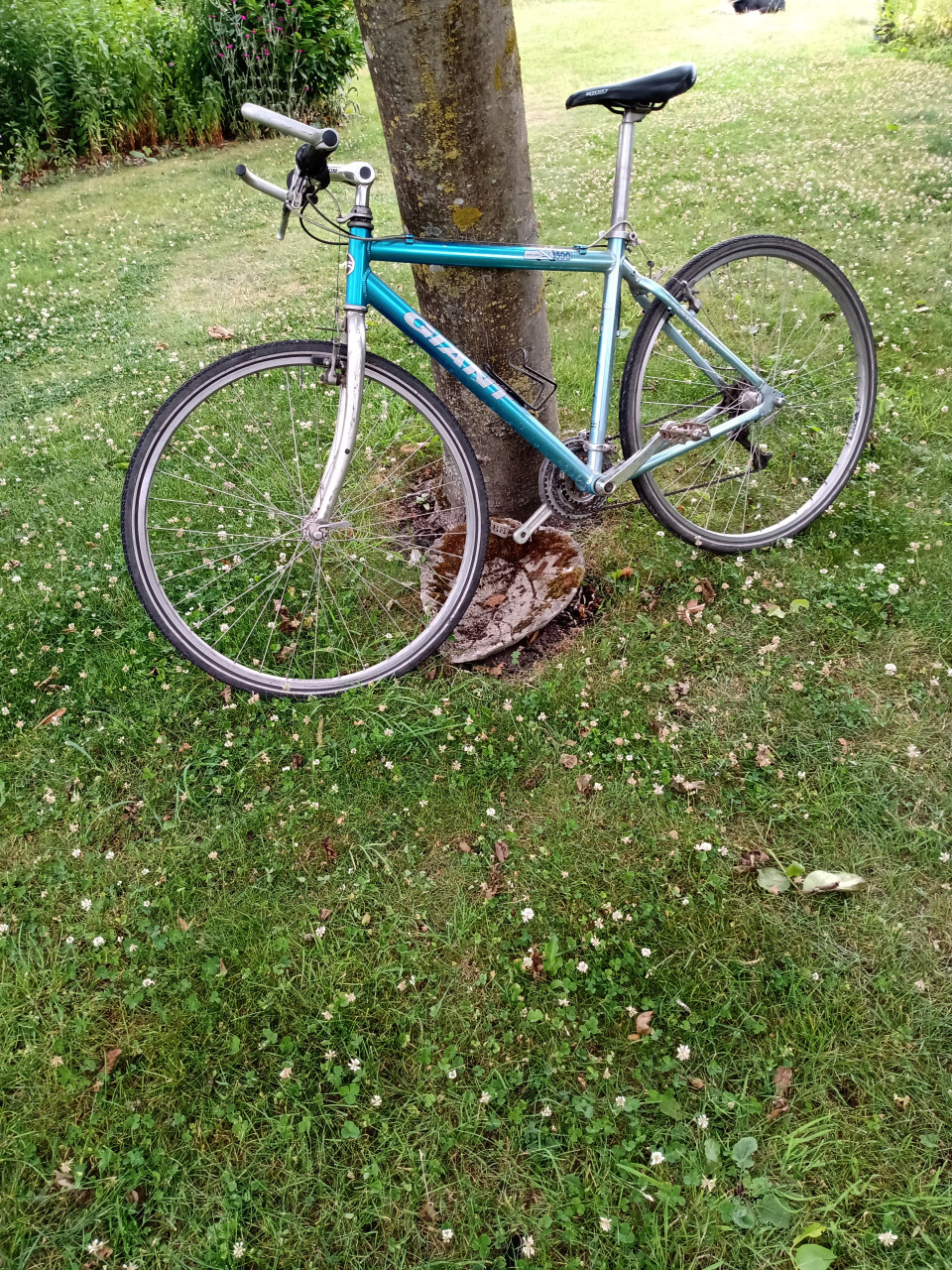 Fiets Hybride Giant x1500