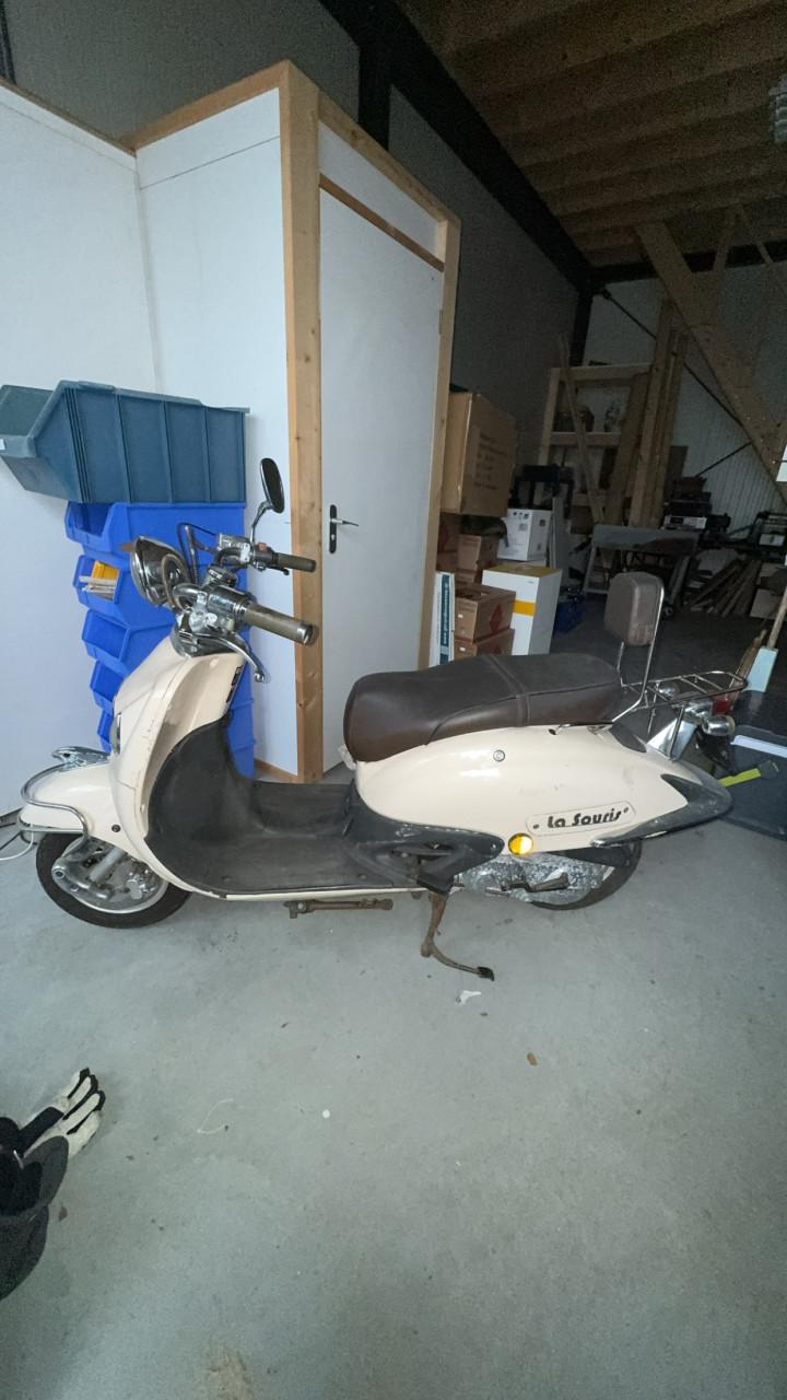 La souris blauw kenteken