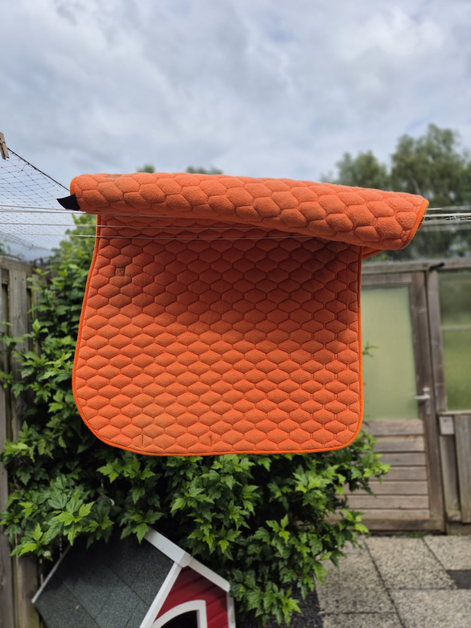 3 x dressuurdekje full