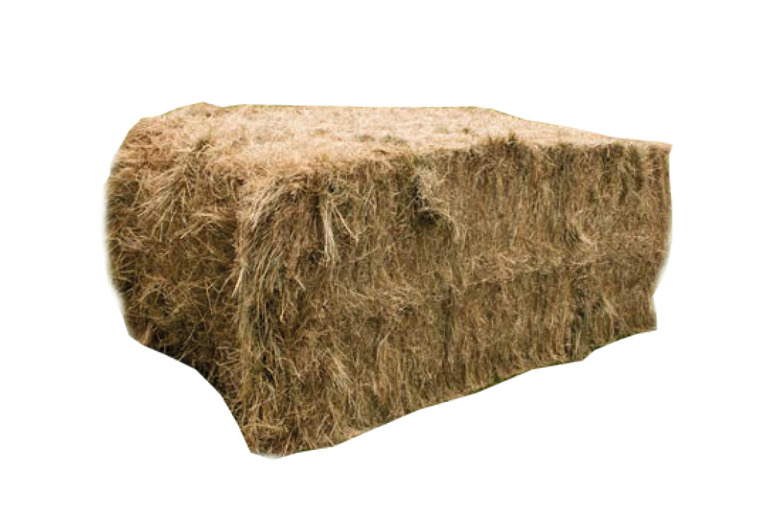 Diervoeders en stalbedekking  voor kippen, paarden, schapen etc.