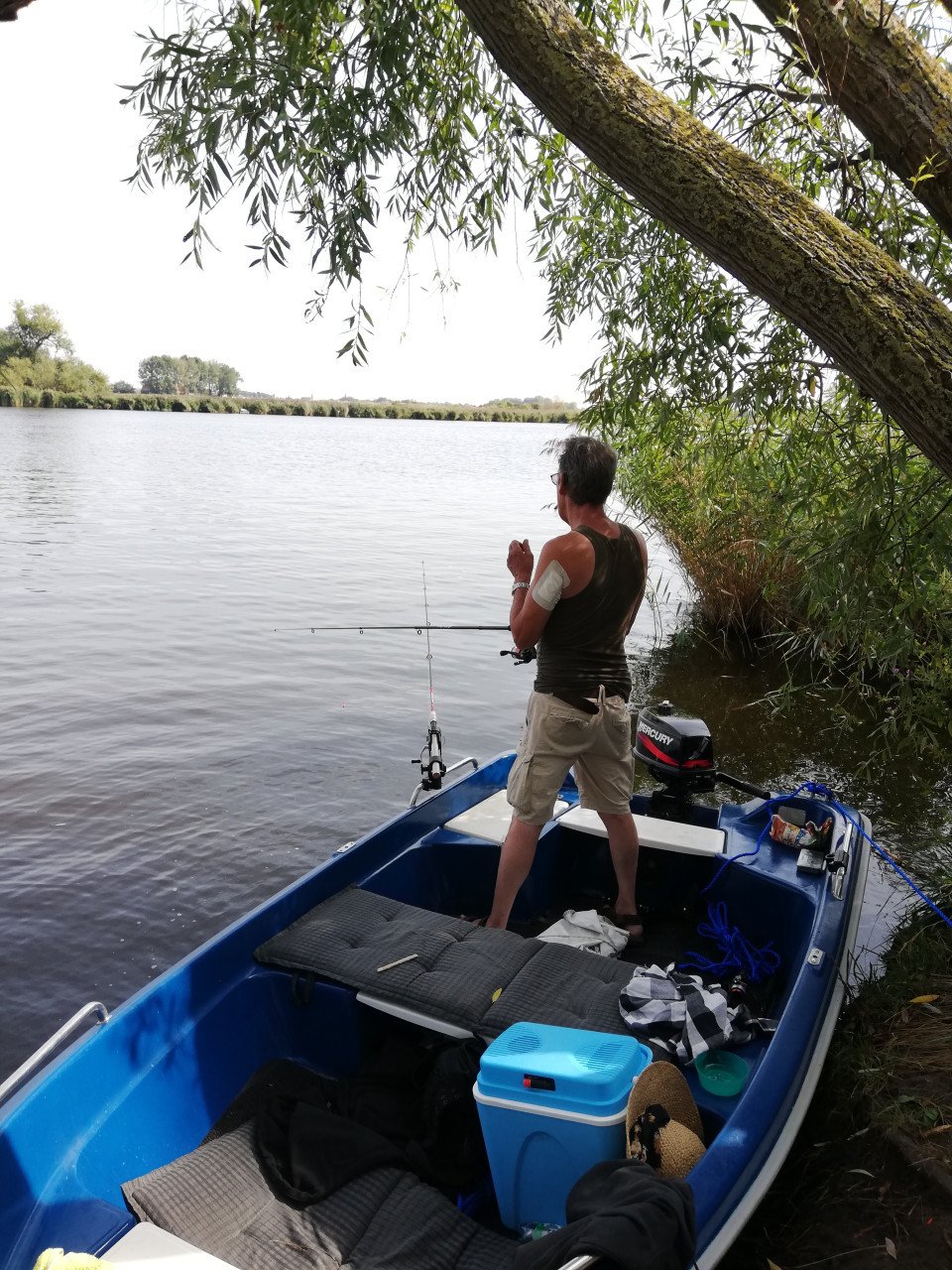 Boot met  trailer en 5 pk Mercury kortstaart motor .