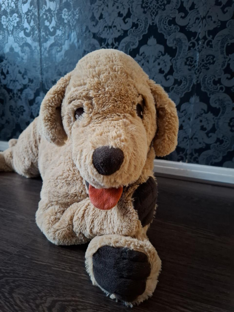 Golden retriever hond knuffel