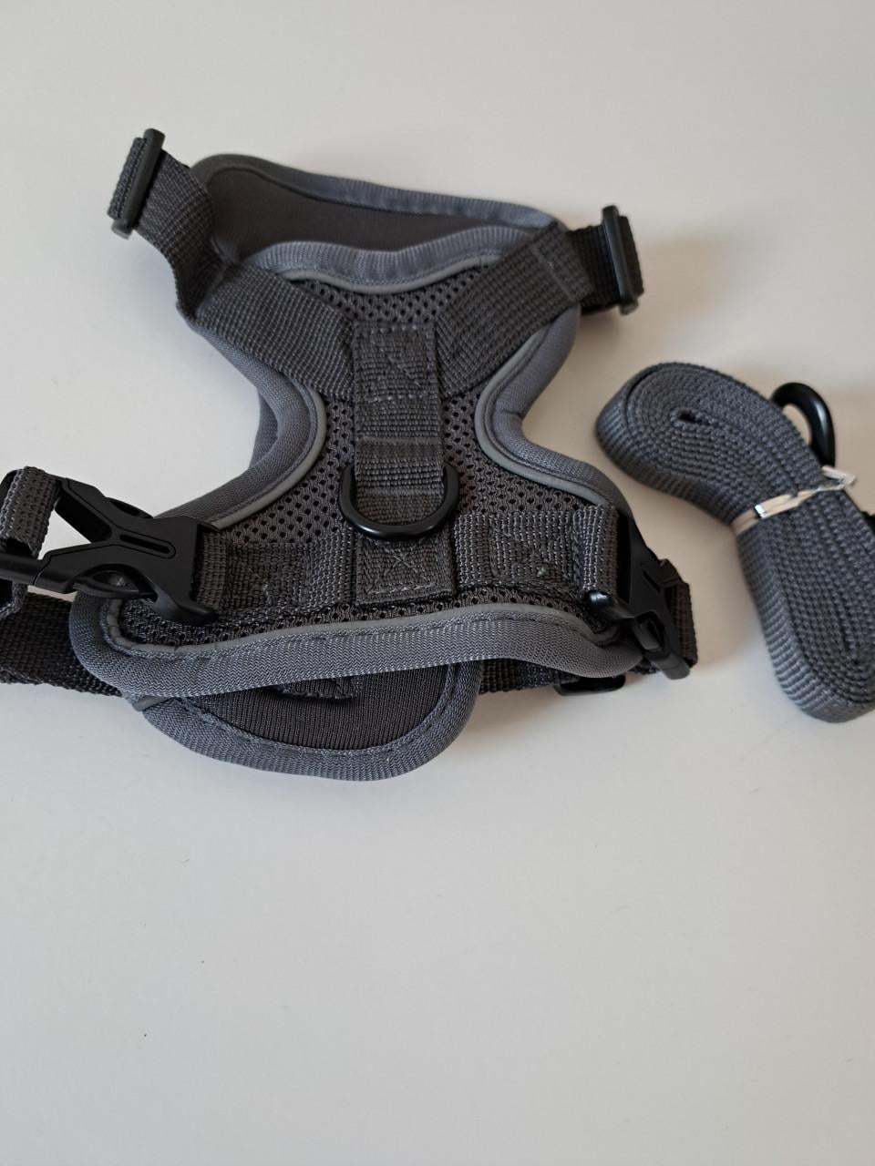 NIEUW TUIGJE MET LOOPLIJN MT M