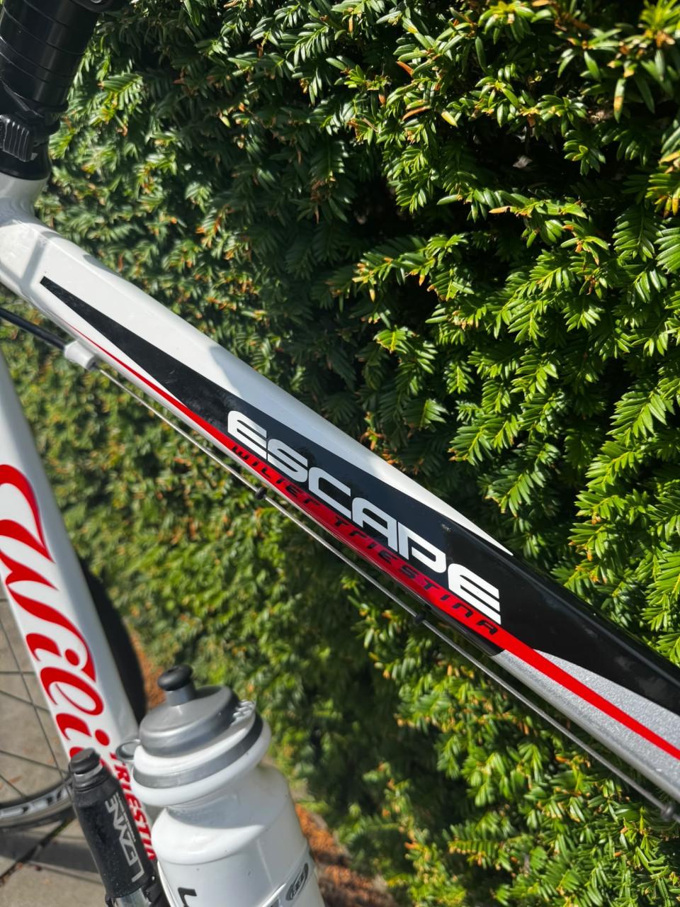 Wilier Triestina Escape  racefietsen