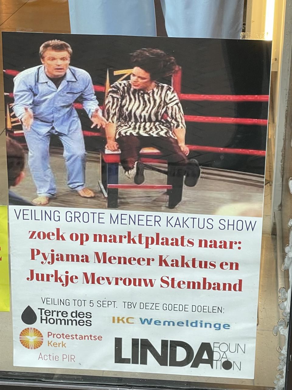 Veiling kleding Grote Meneer Kaktus Show - Originele Pyjama Meneer Kaktus