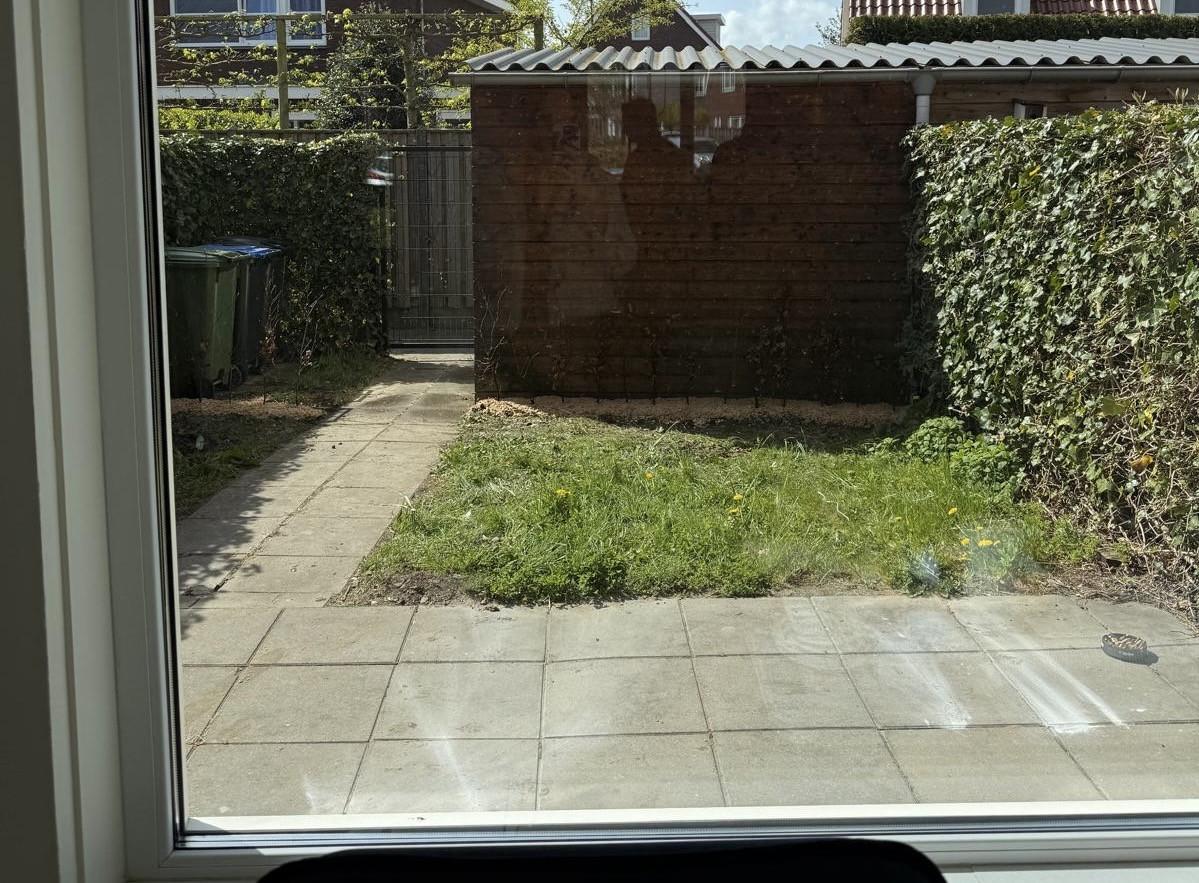 Gratis afhalen ca 30m2 betontegels