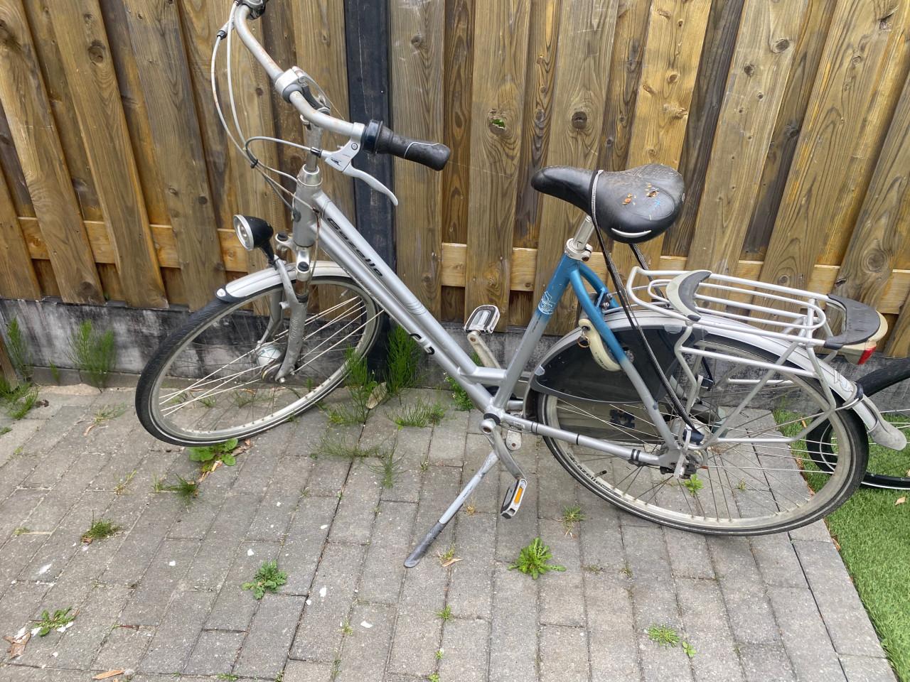 Gazelle chamonix plus damesfiets