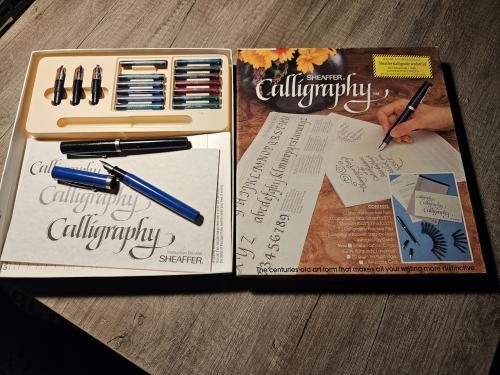 Zgan groot Sheaffer Calligraphy set in nette complete staat