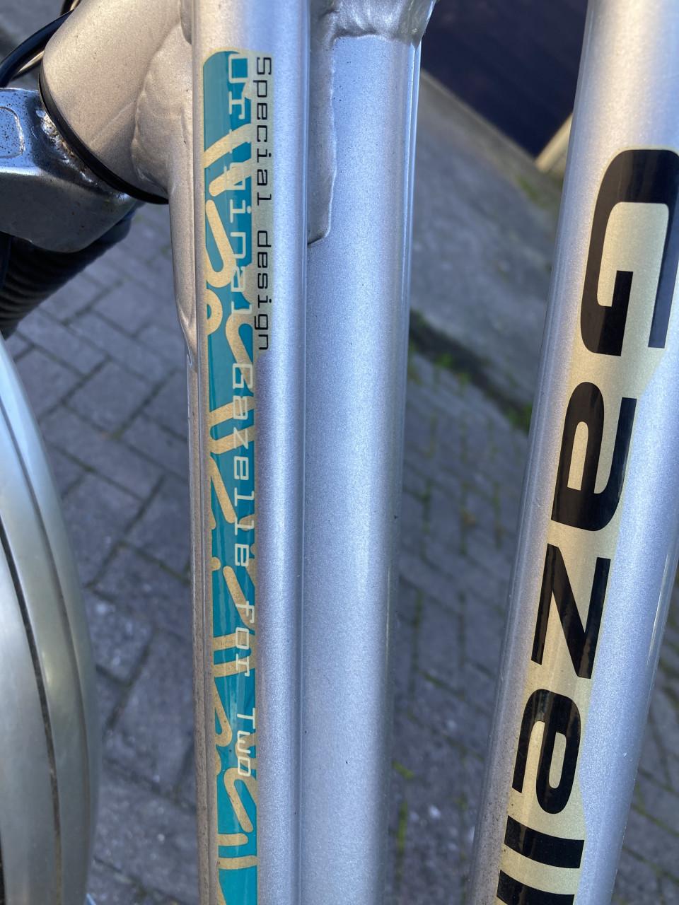 Elektrische gazelle tandem 26 inch