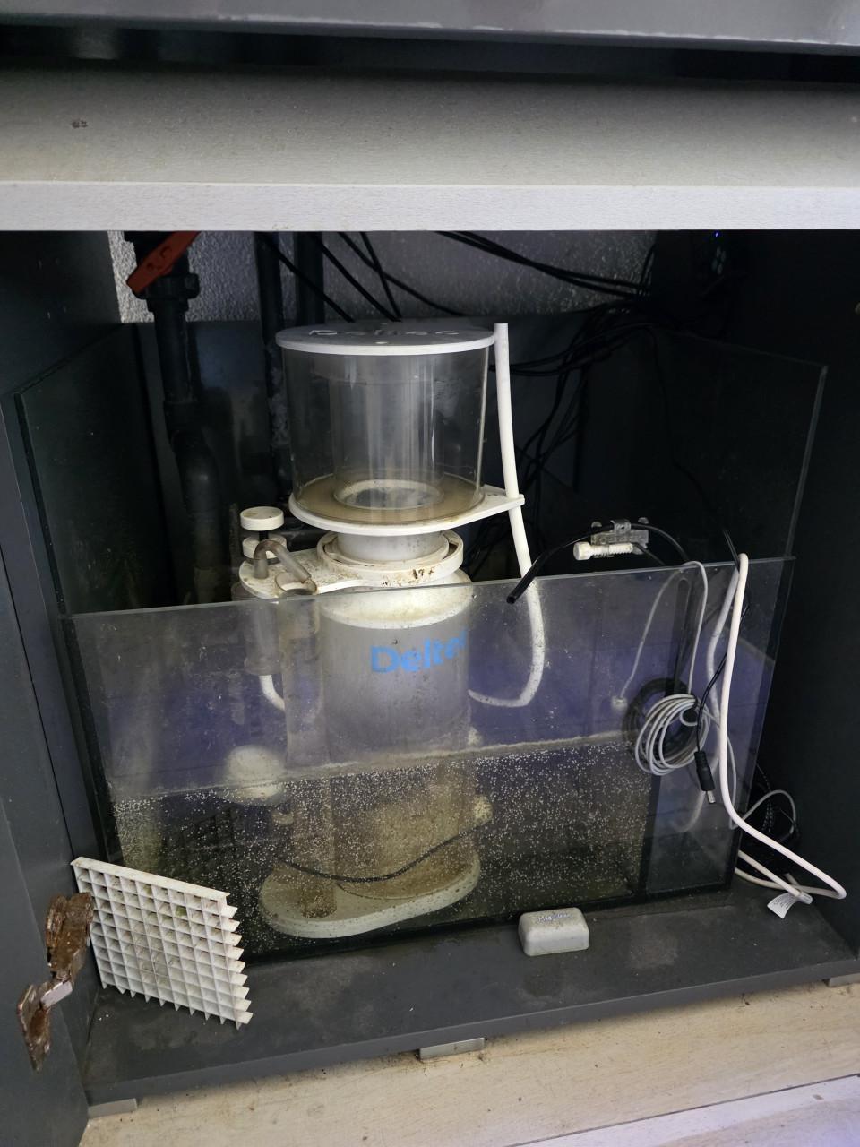 Mooi zeewater Aquarium