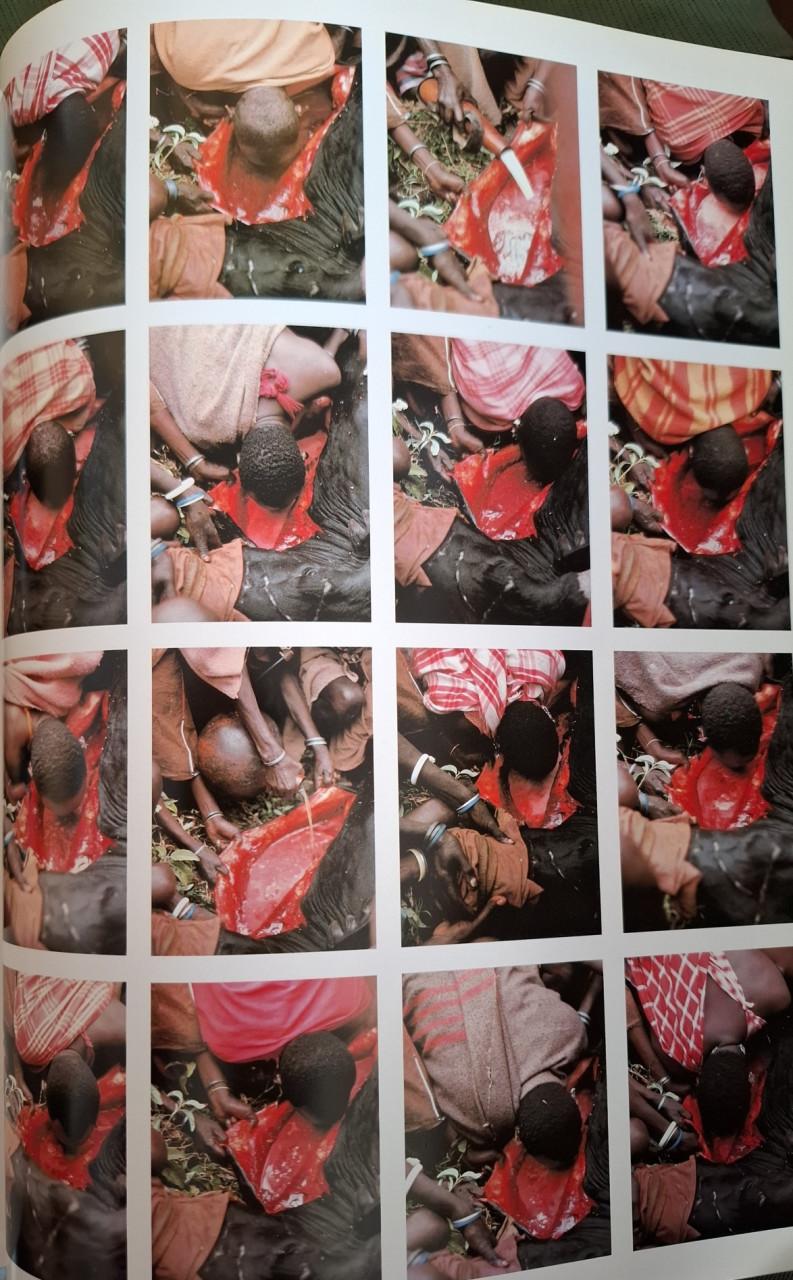 Maasai, prachtig fotoboek met begeleidende tekst,