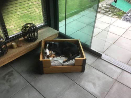 Te koop Hondenmand