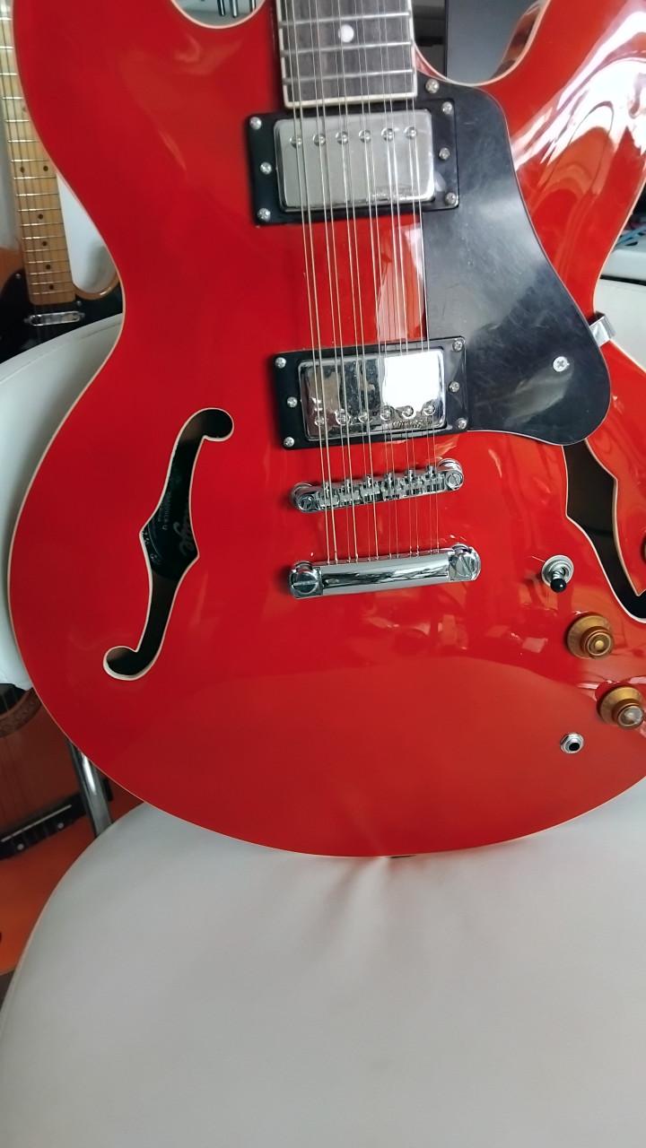 Semi hollow body 12 snarige elektrischhe gitaar