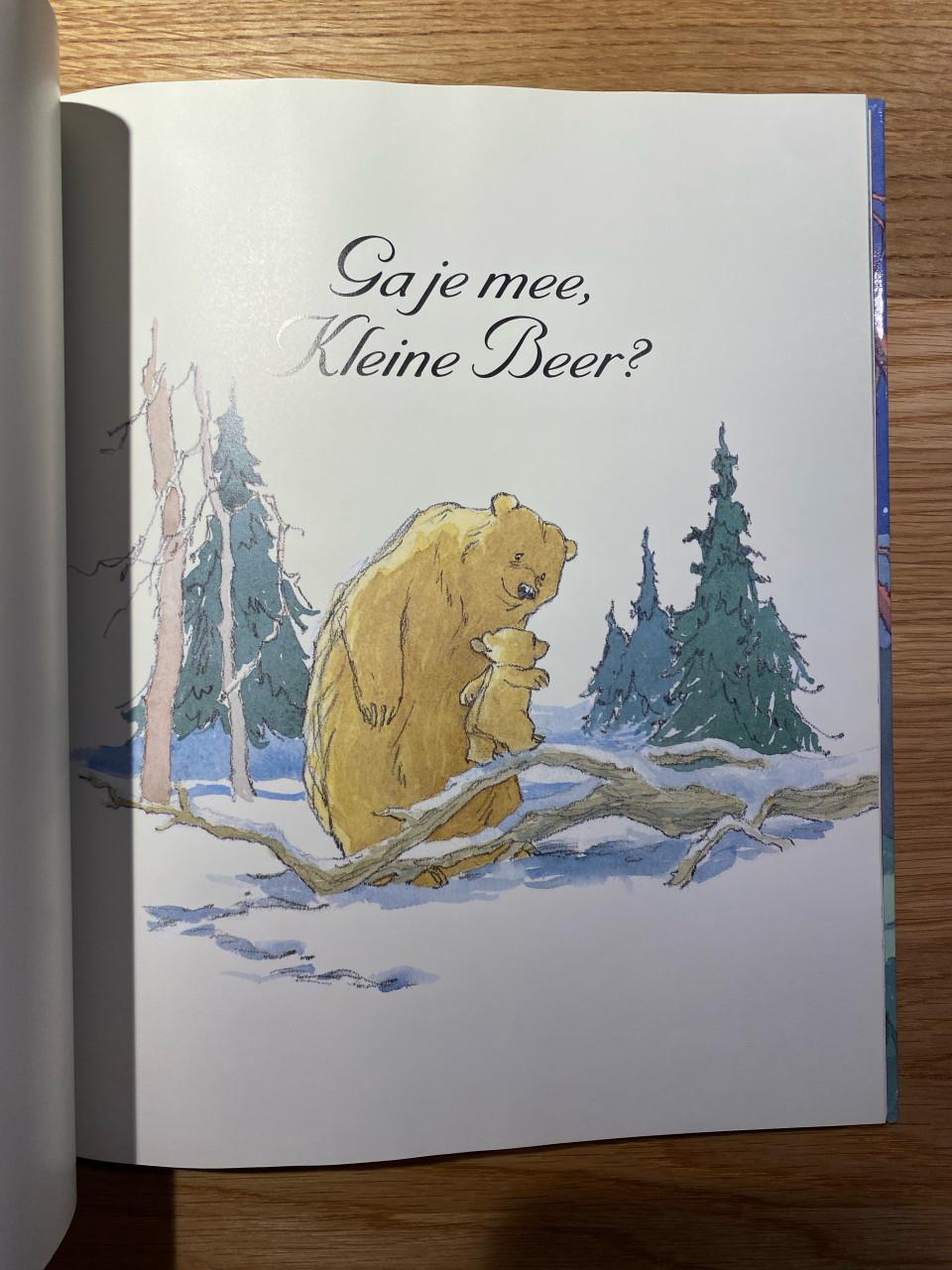 De verhalen van kleine beer