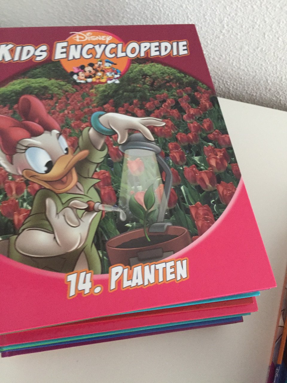 Disney encyclopedie 24 delig