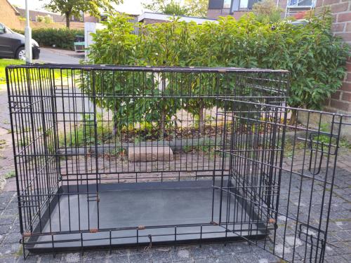 Honden bench
