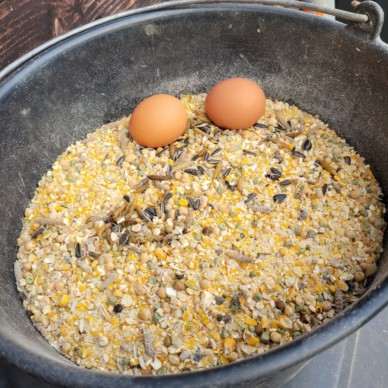 Supervers LEGMEEL van Zeeuwse bodem 60 ct/kg. zak 25 kg. € 15,--