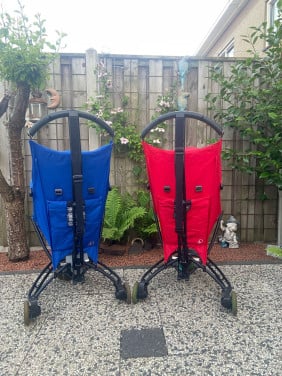 Te koop buggy
