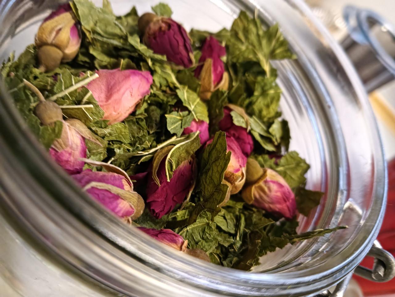 Wildplukwinterwandeling