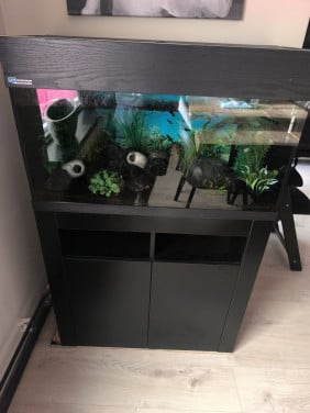 Aquarium 80 cm