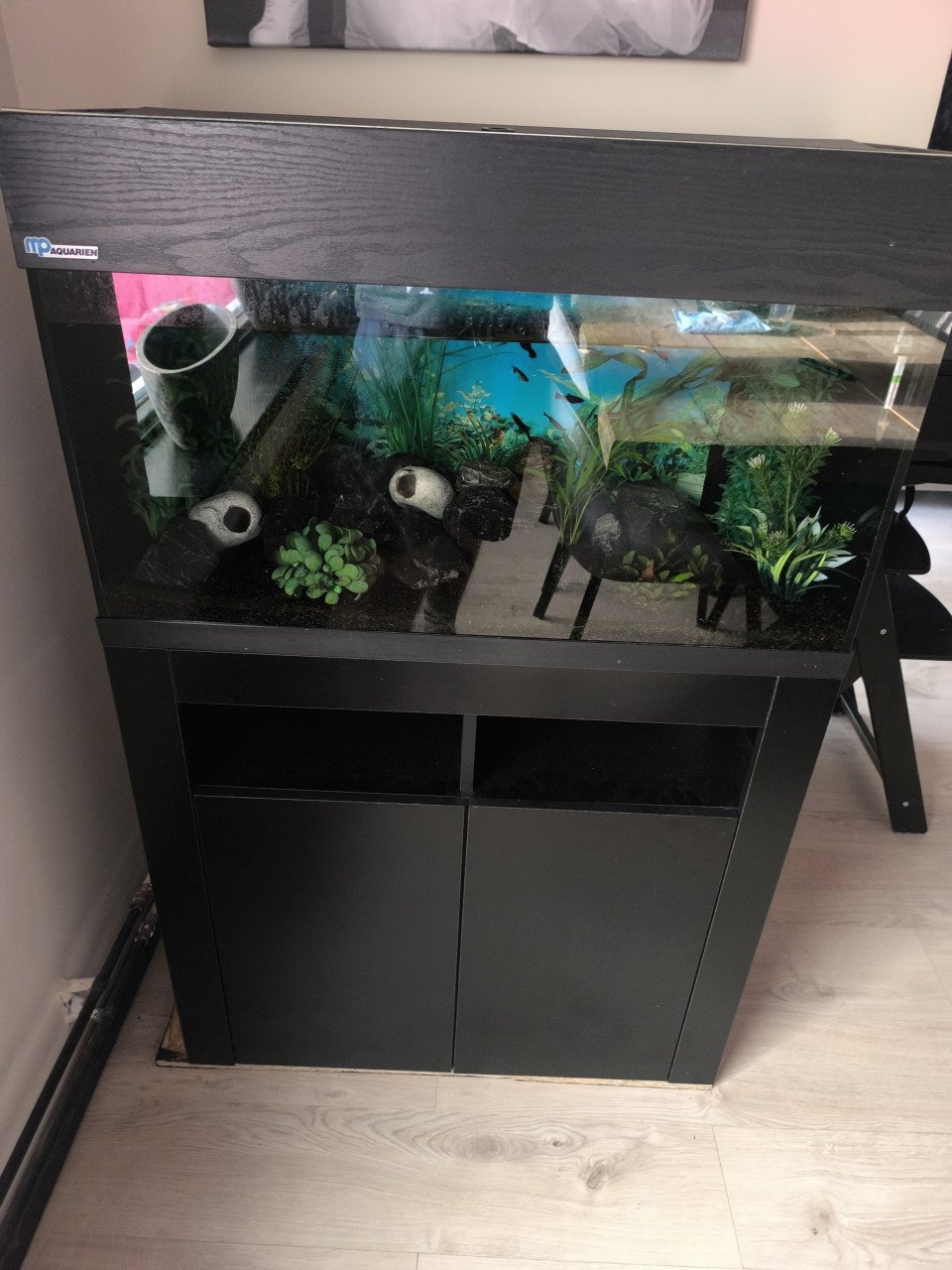Aquarium 80 cm