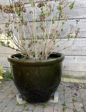Hele mooie grote vorstvrije Buitenbloempot. Hoogte 53 cm. Diam 60 cm.