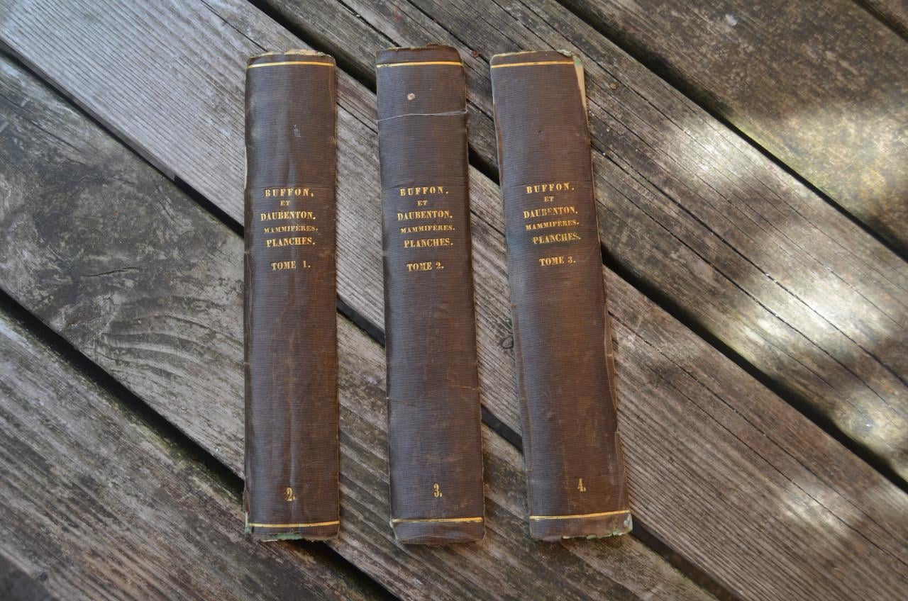 Oeuvres complet de Buffon 1833 fraai!!