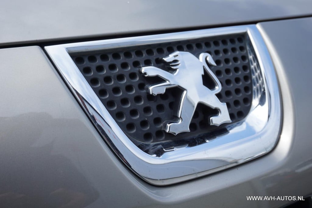 Peugeot 3008 1.6 vti st