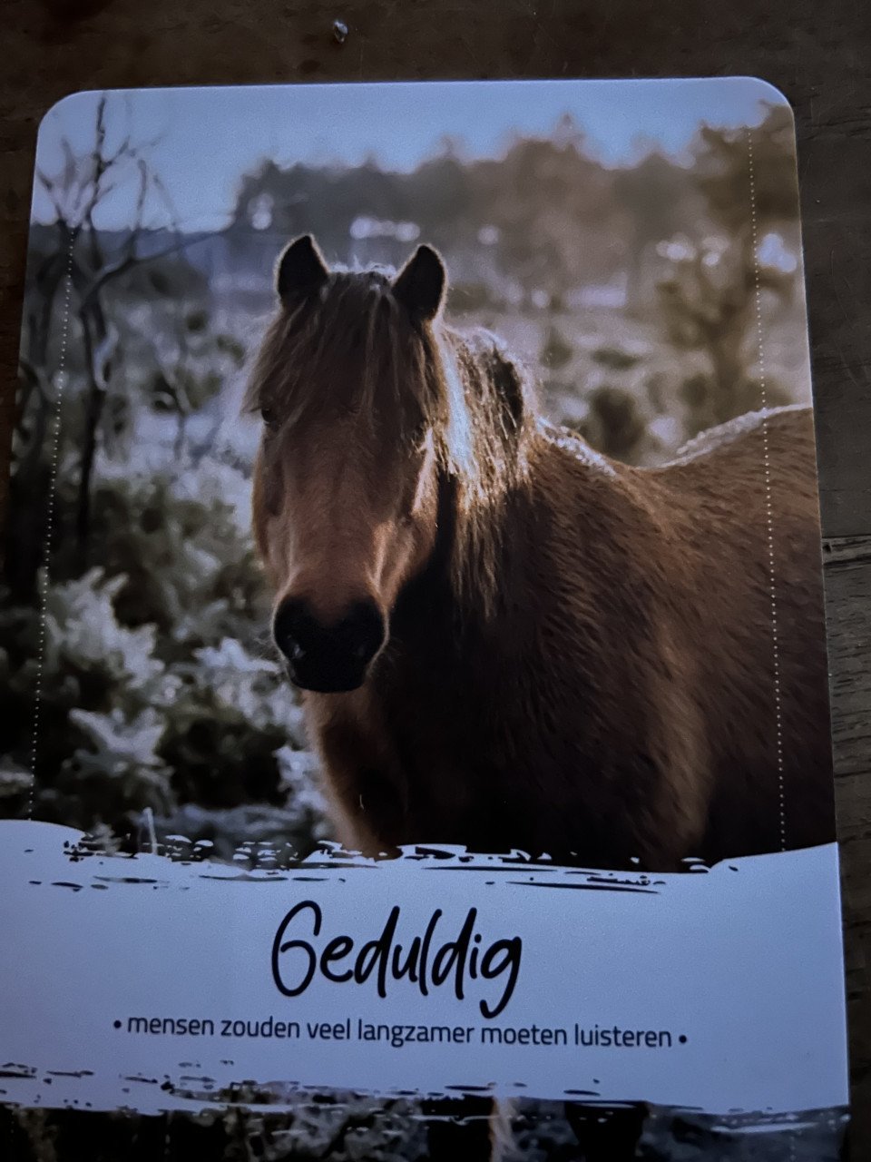 #Equi Pride# beperkte kinderlessen per augustus
