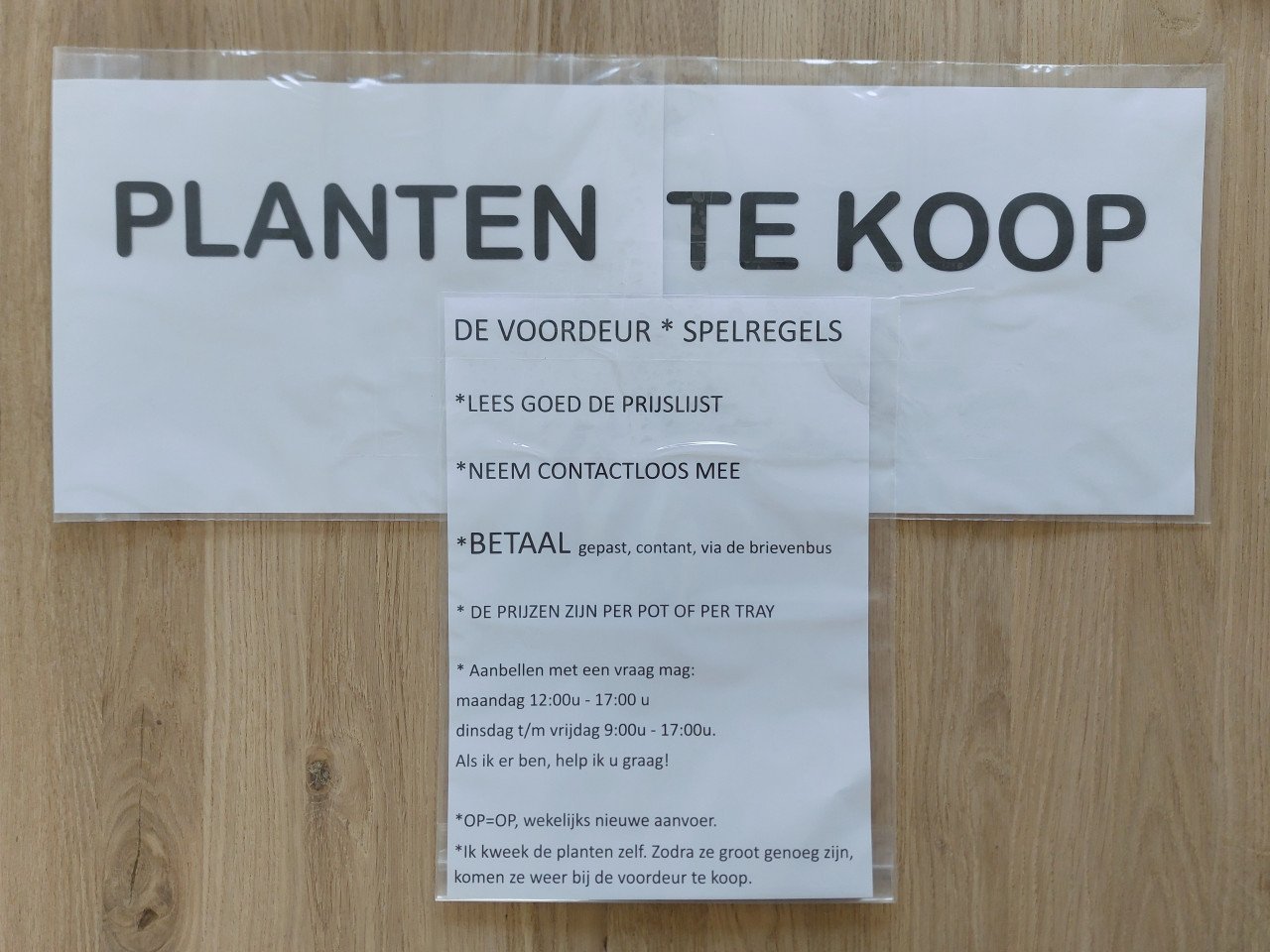 SIERTUIN EN MOESTUIN PLANTEN + BOMEN bij DE VOORDEUR