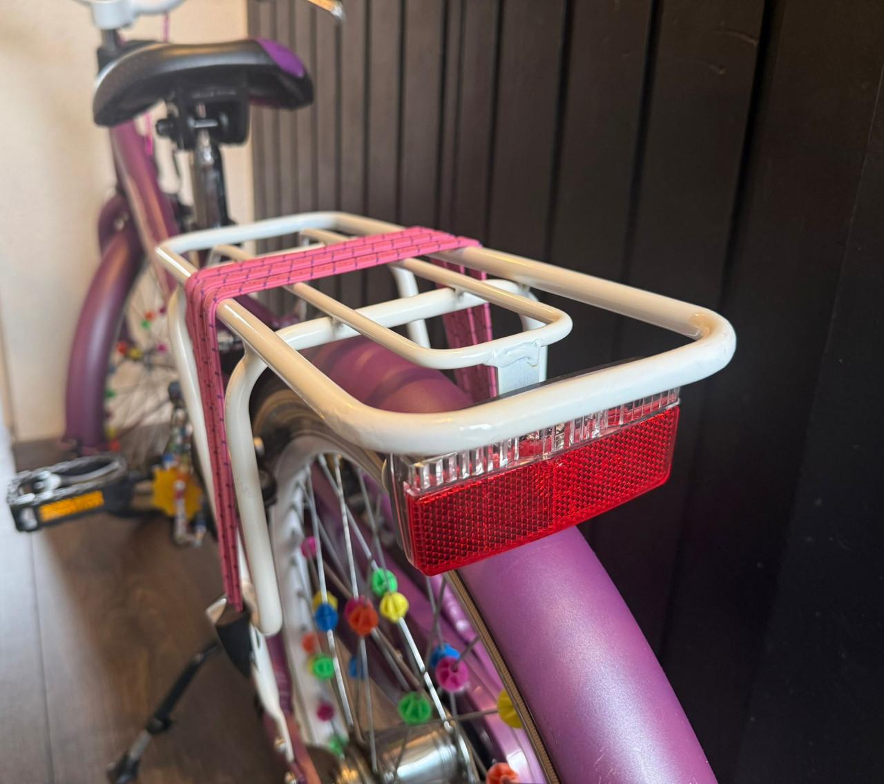 Alpina 20inch meisjes fiets