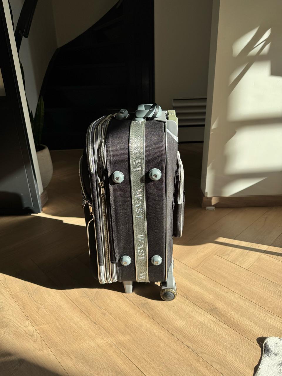 Handbagage of reiskoffer