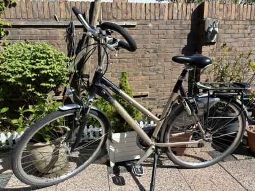 Gazelle Medeo damesfiets