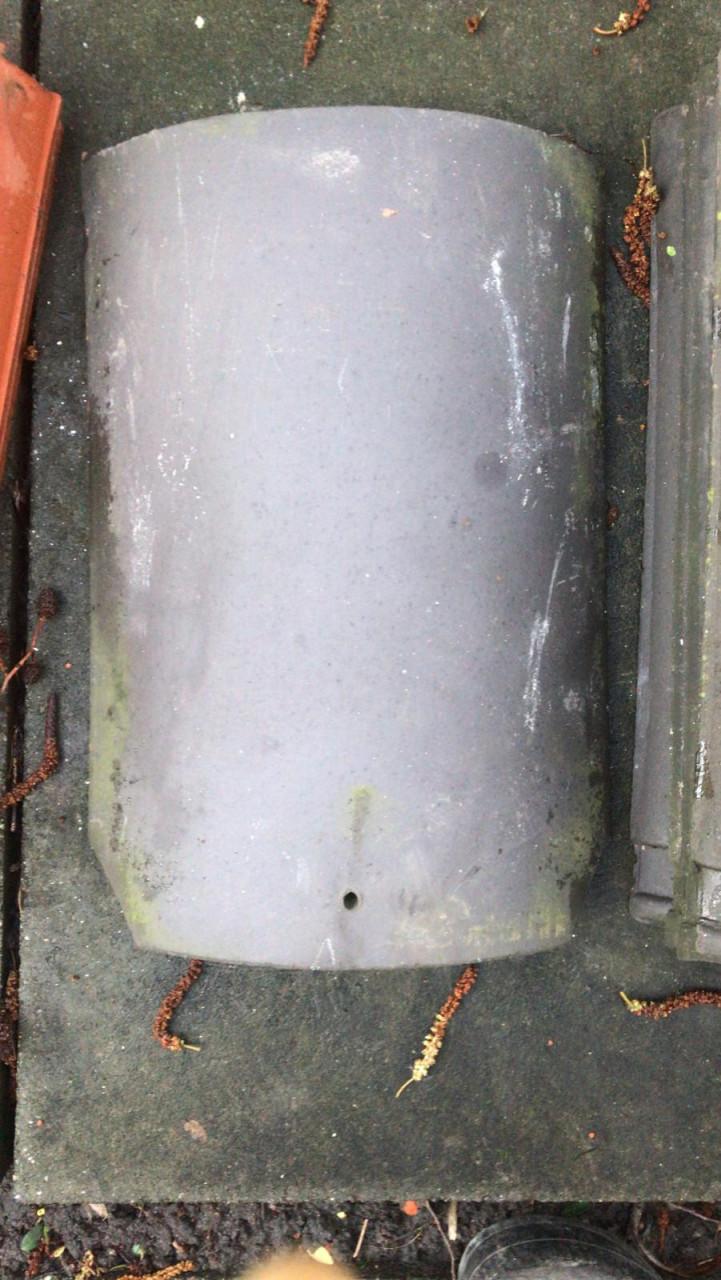 Nokvorsten (diverse types)