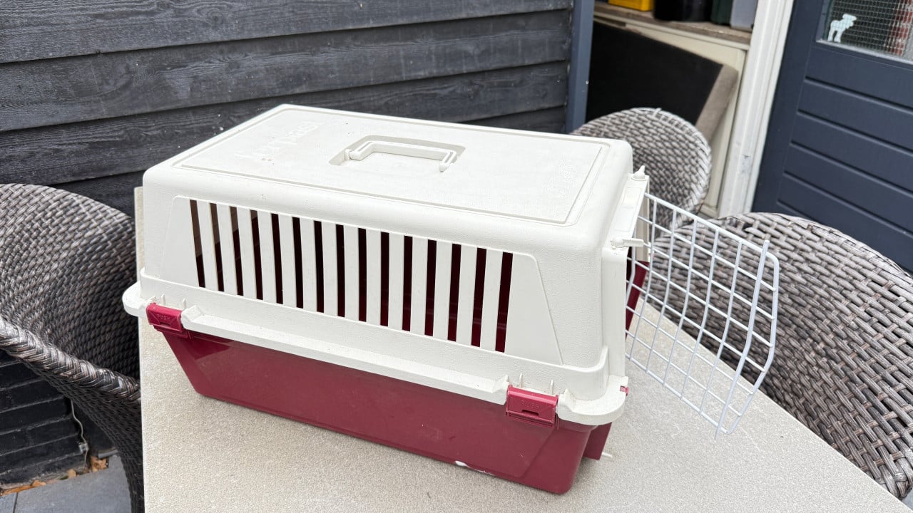 Transportbox Ferplast Atlas 20