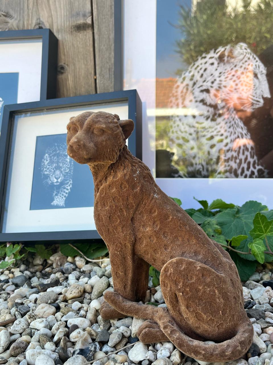 Fotolijsten wilde dieren