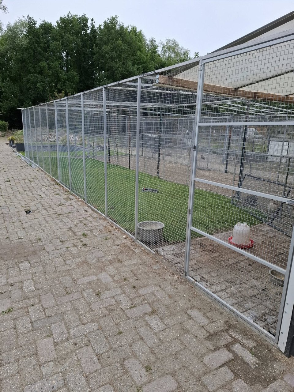 Allerlei vogels