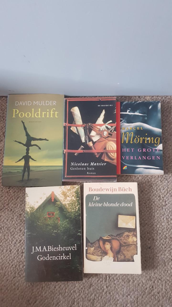 Moderne en oudere Nederlandse romans