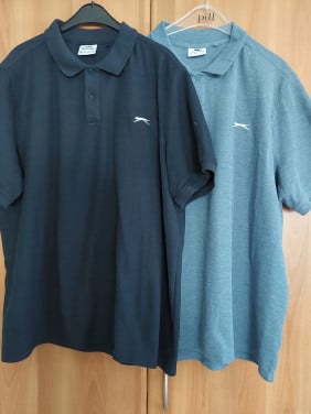 2 Heren Polo's