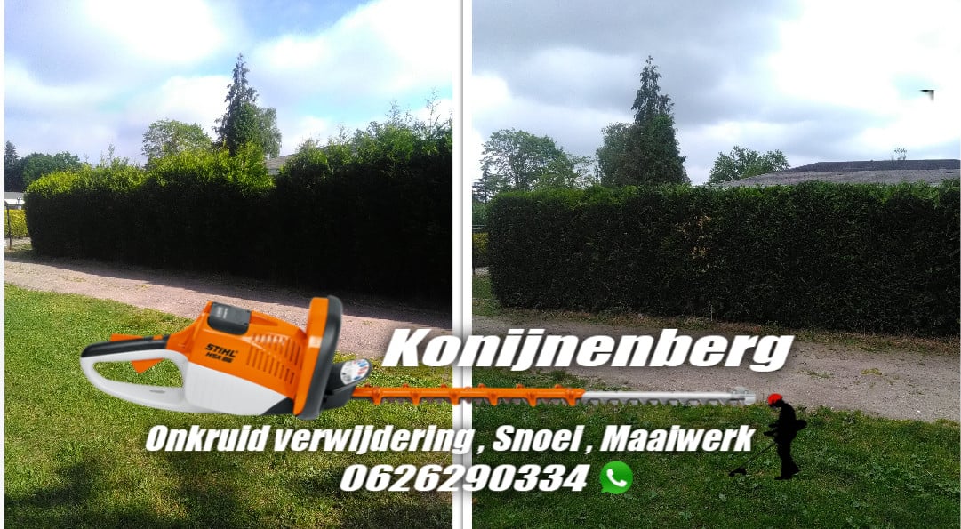 Snoeiwerk , tuinonderhoud