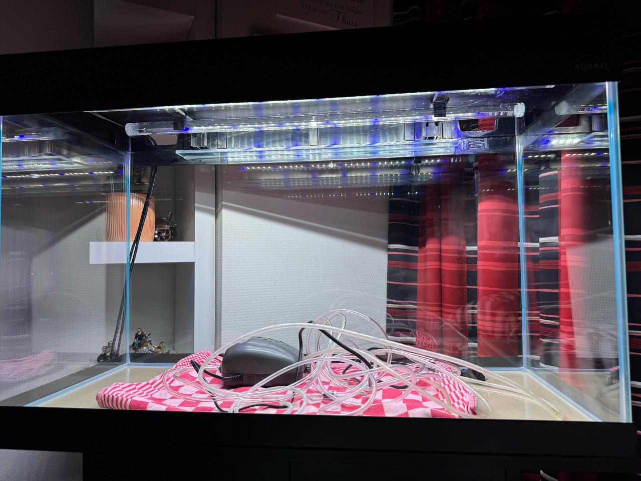 Aquarium en toebehoren