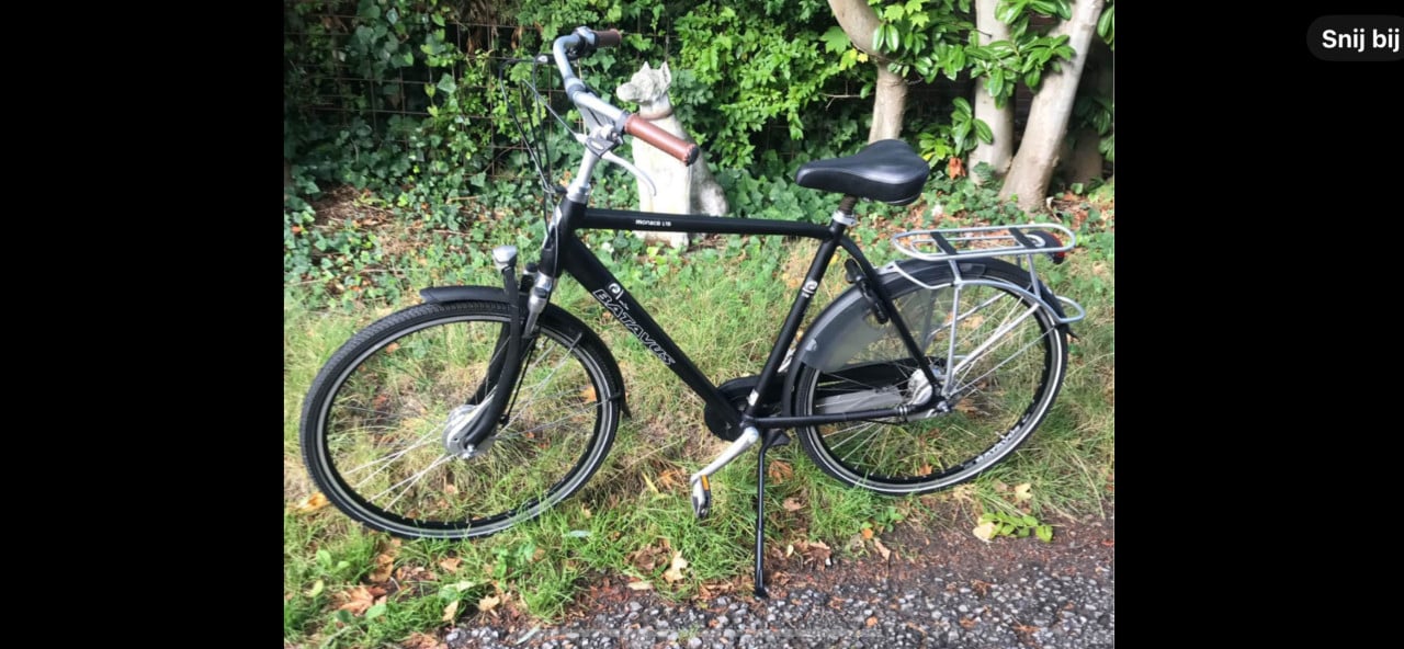 Tekoop Batavus Monaco