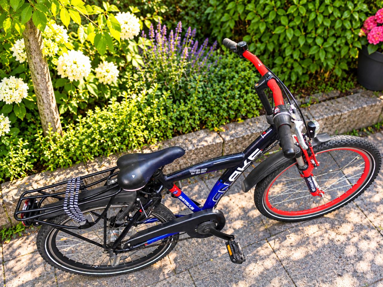 🚲 Batavus Snake 24 Inch – 3 Versnellingen – Stoere Jongensfiets!