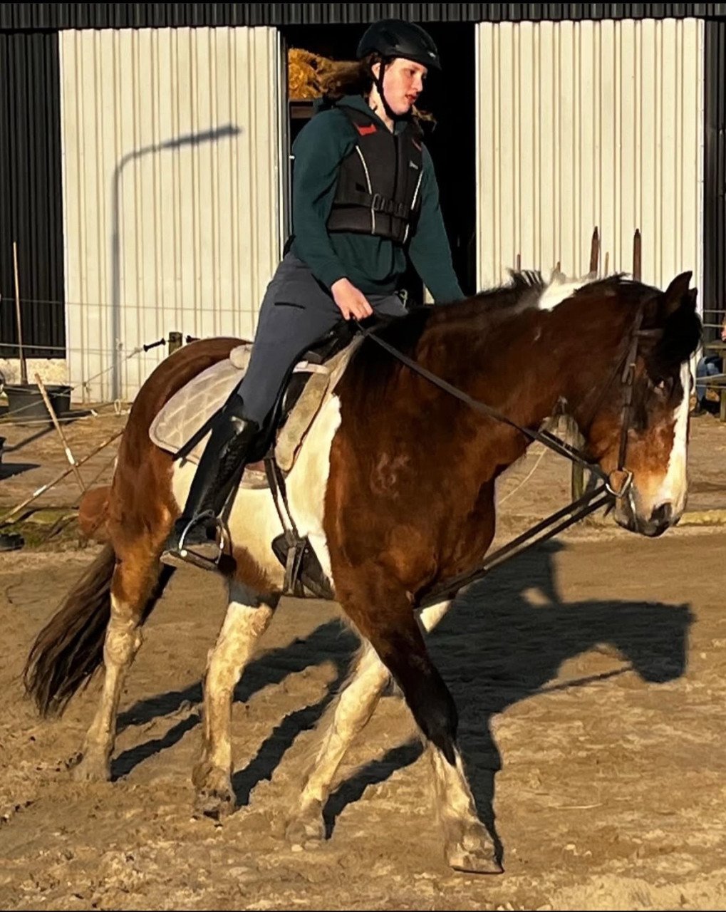 Verzorg pony gezocht