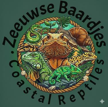 TE KOOP verschillende reptielen