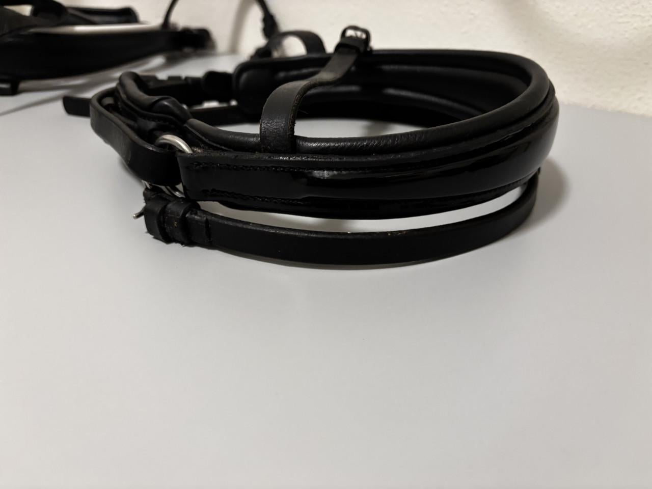 Bridle to fit neusriem
