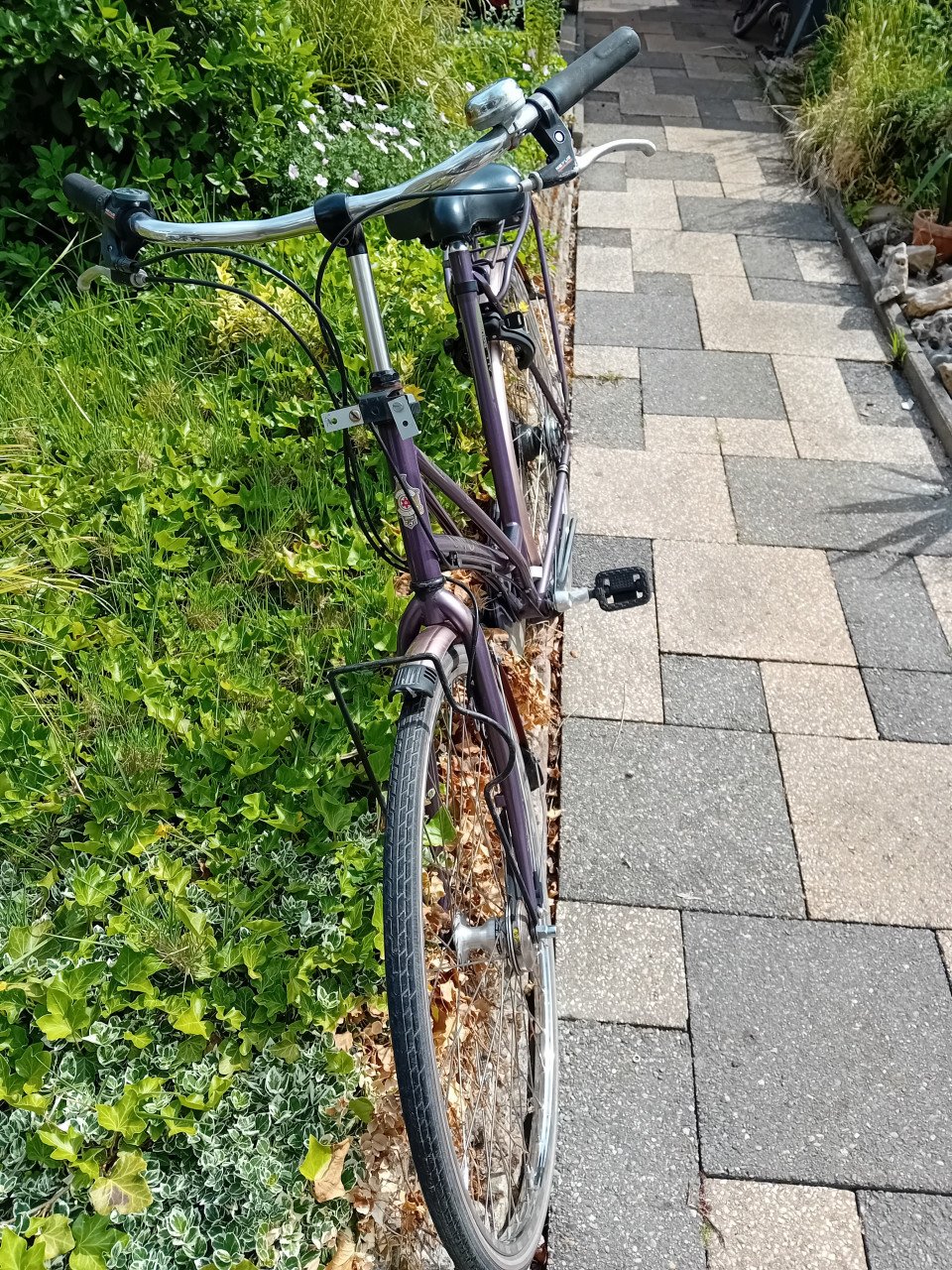 Dames fiets