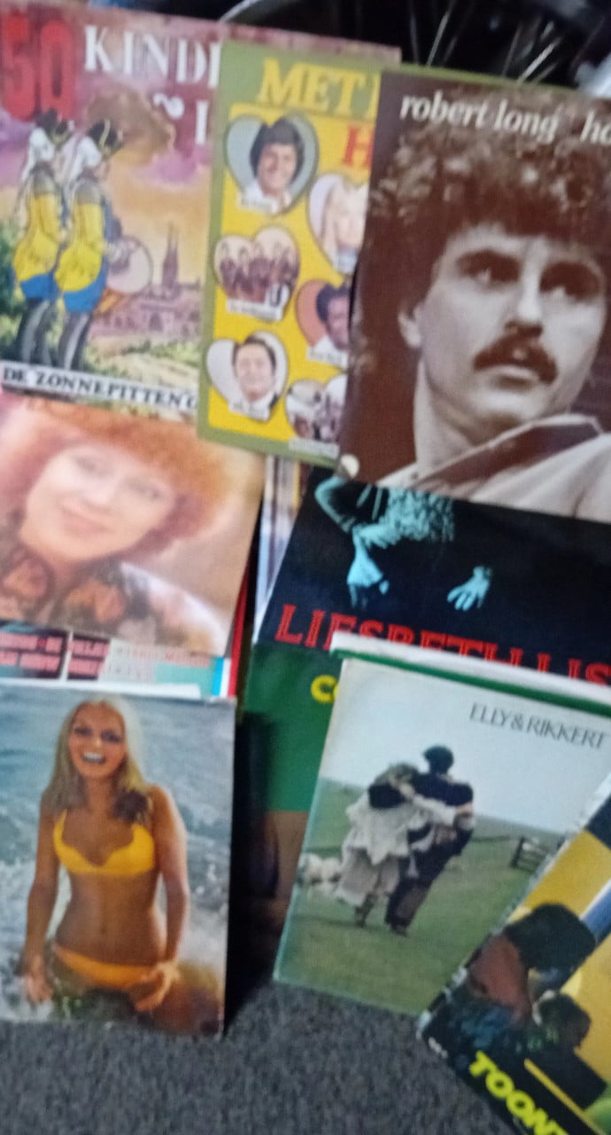 170 nederlandstalig LP'S en 170 andere, Geen klassiek