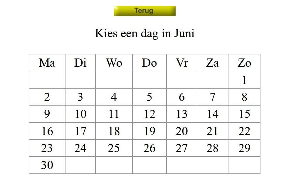 Afspraken kalender op uw website