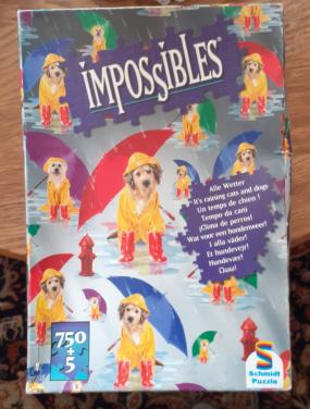 Impossible puzzel
